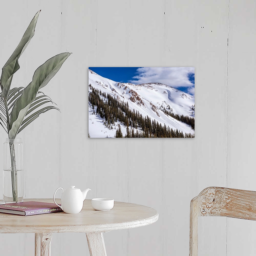 A farmhouse room featuring Snow and pine trees on the mountainside under a blue sky, Colorado.