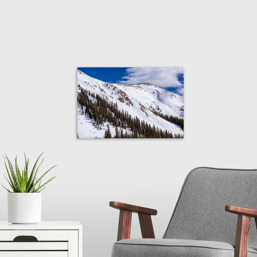 A modern room featuring Snow and pine trees on the mountainside under a blue sky, Colorado.