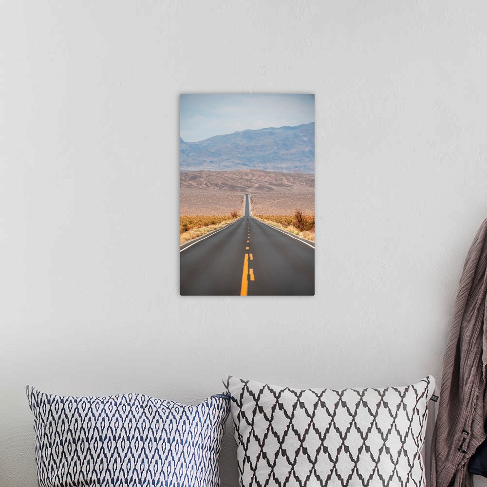 A bohemian room featuring View of State Route 190 heading through Death Valley, California.