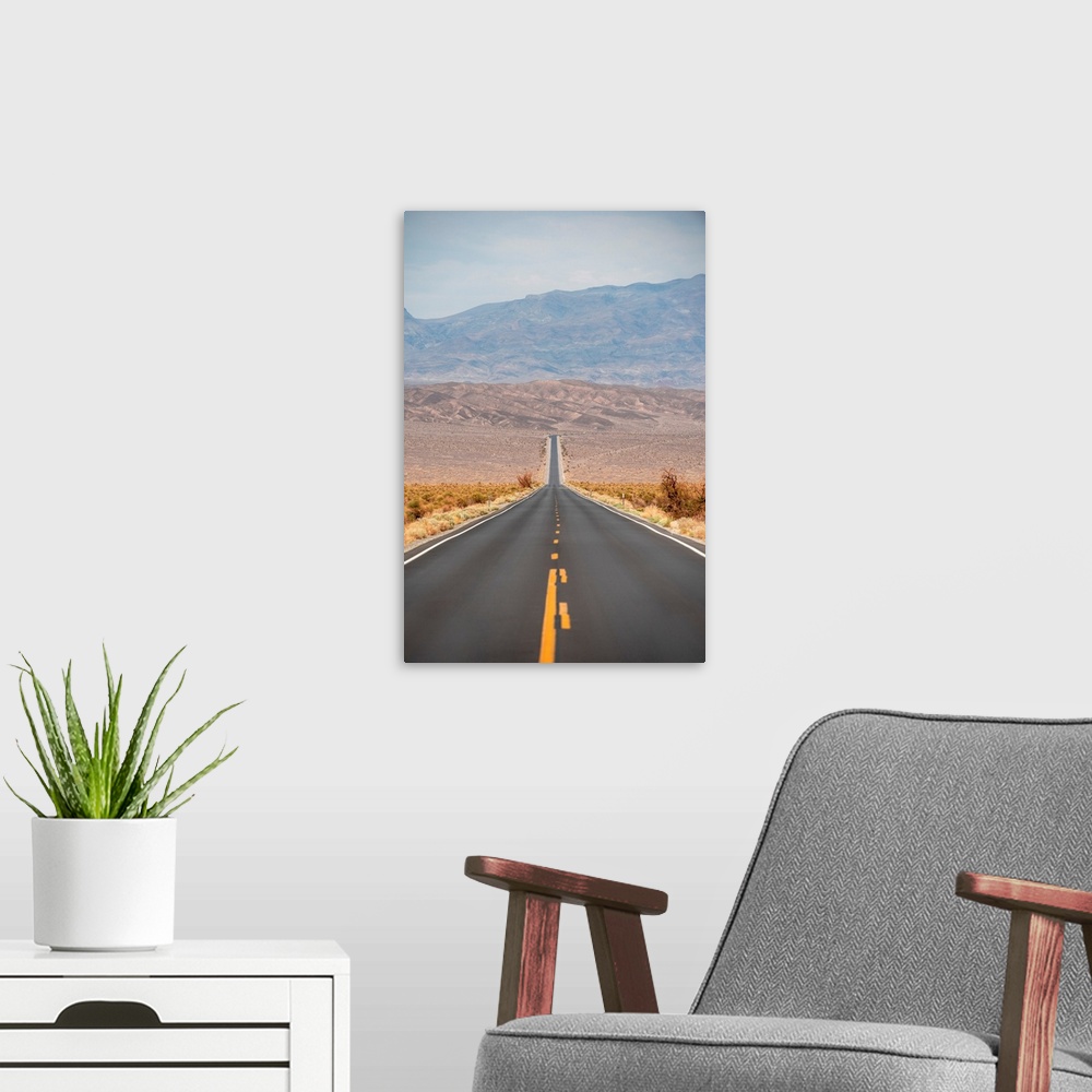 A modern room featuring View of State Route 190 heading through Death Valley, California.