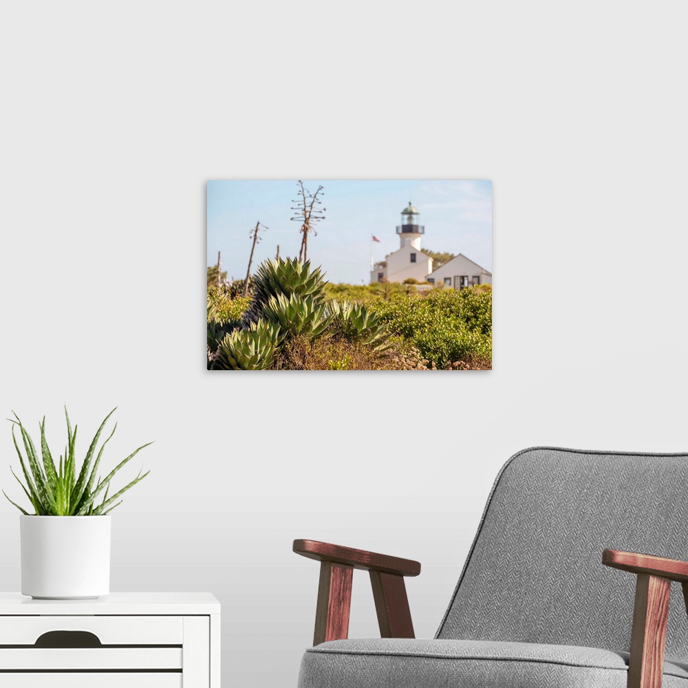 A modern room featuring Lush succulents and grasses grow near Old Point Loma Lighthouse.