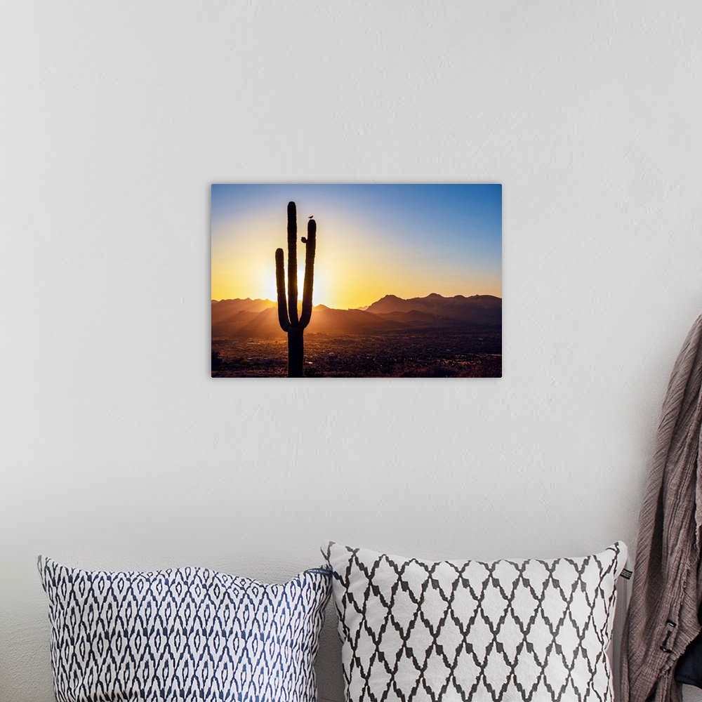 A bohemian room featuring Sun peeking through Saguaro cactus at sunset in Phoenix, Arizona.