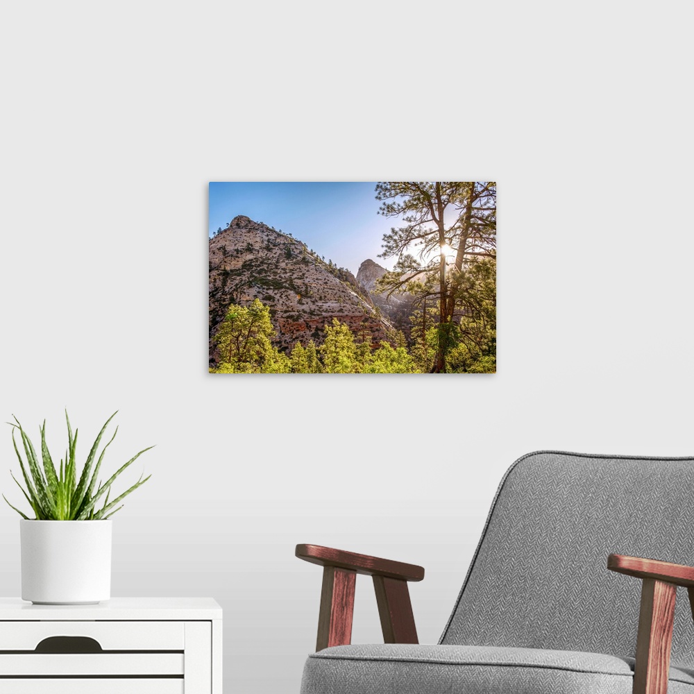 A modern room featuring View of mountainside and sun peeking through tree at Zion National Park in Utah.