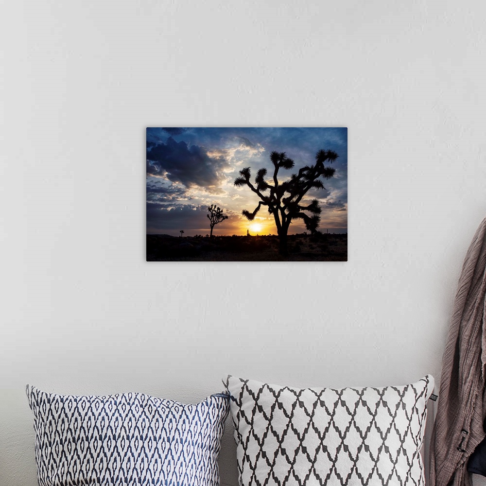 A bohemian room featuring Photo of the sun setting on a desert landscape in Joshua Tree National Park, California.