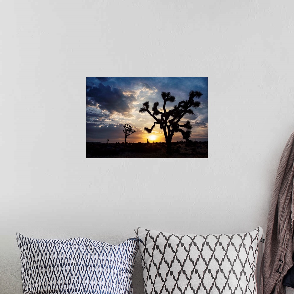 A bohemian room featuring Photo of the sun setting on a desert landscape in Joshua Tree National Park, California.