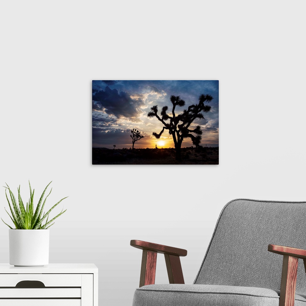 A modern room featuring Photo of the sun setting on a desert landscape in Joshua Tree National Park, California.