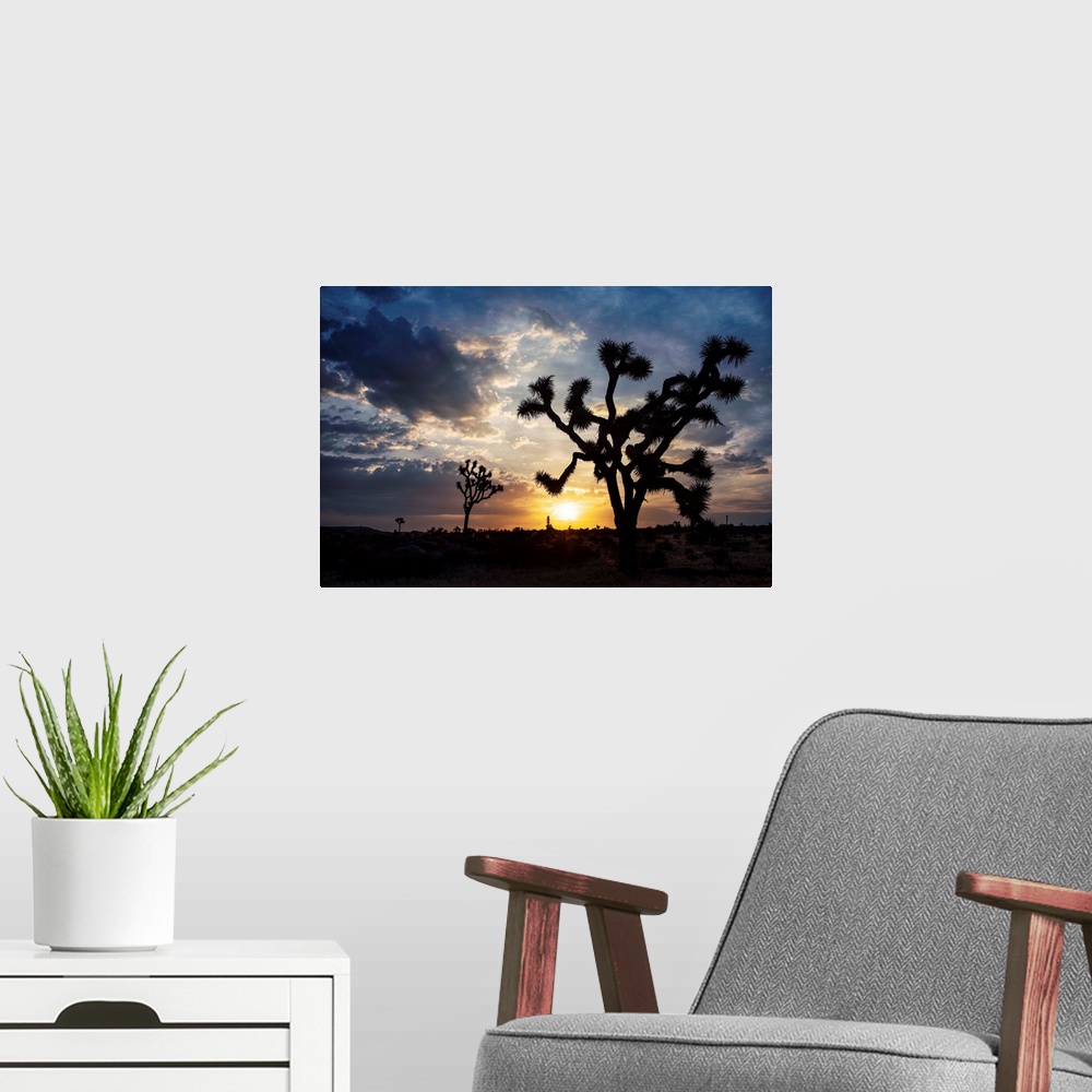 A modern room featuring Photo of the sun setting on a desert landscape in Joshua Tree National Park, California.