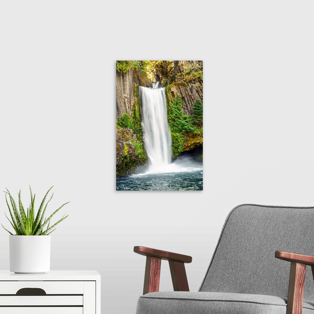 A modern room featuring View of Toketee Falls near Crater Lake, Oregon.