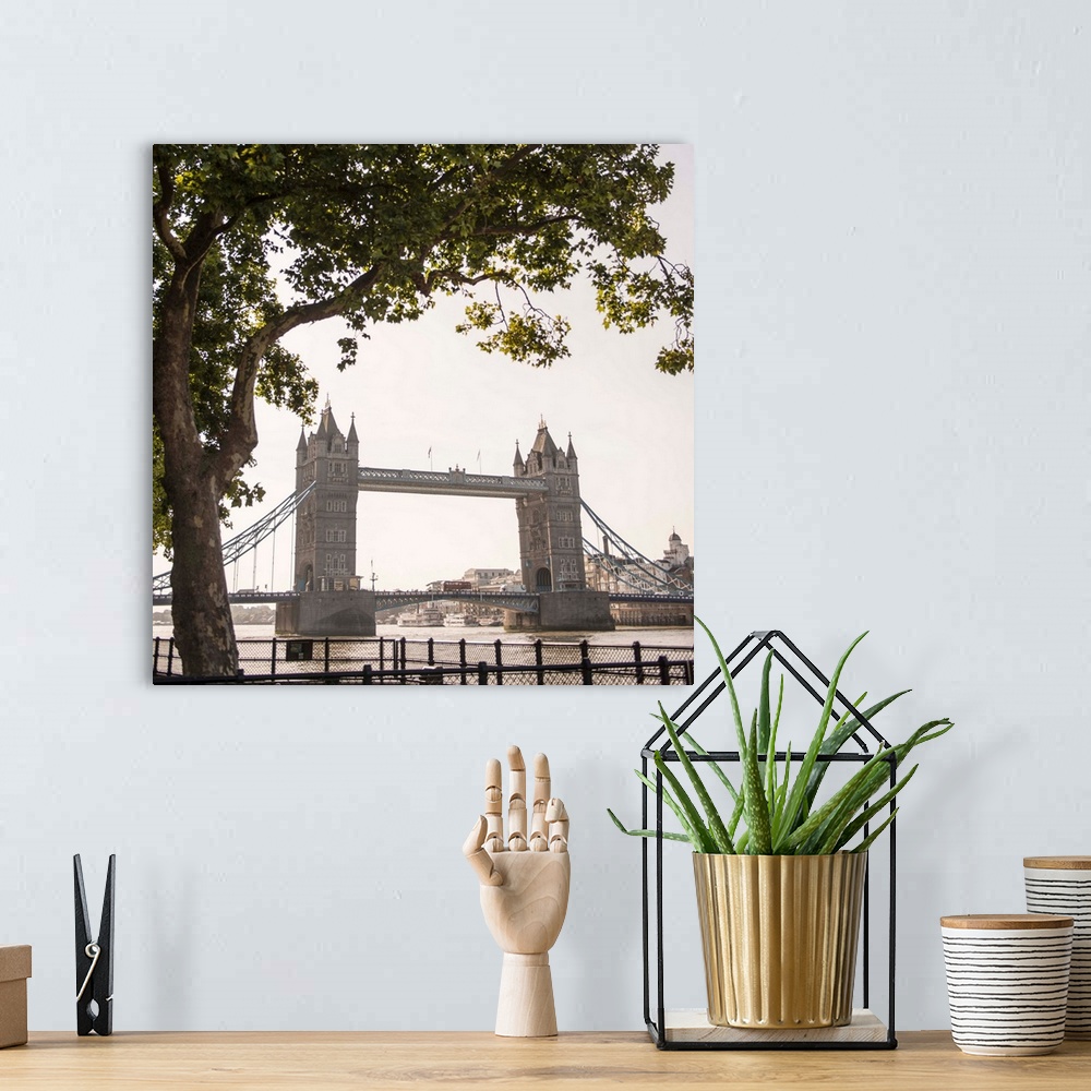 A bohemian room featuring Square photograph of Tower Bridge framed by a tree, London, England, UK
