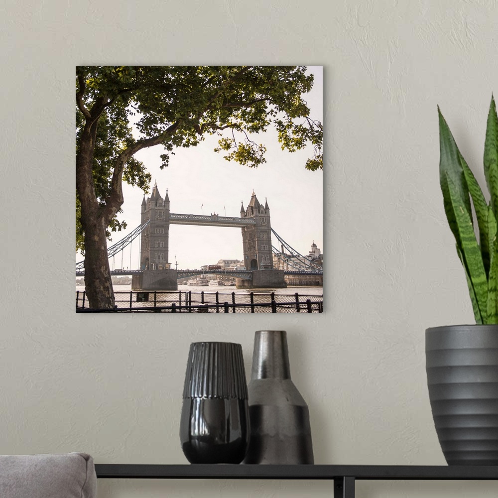 A modern room featuring Square photograph of Tower Bridge framed by a tree, London, England, UK
