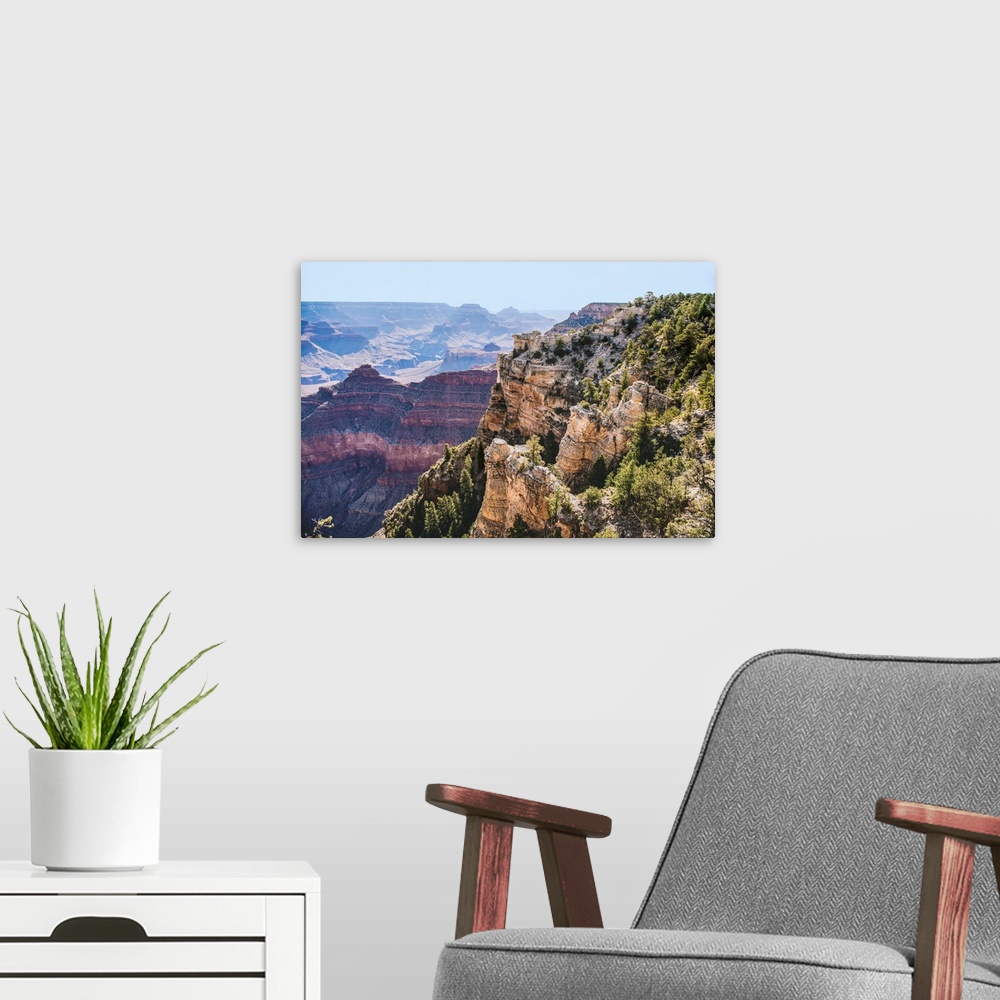 A modern room featuring Trees along cliff side in Grand Canyon National Park, Arizona.