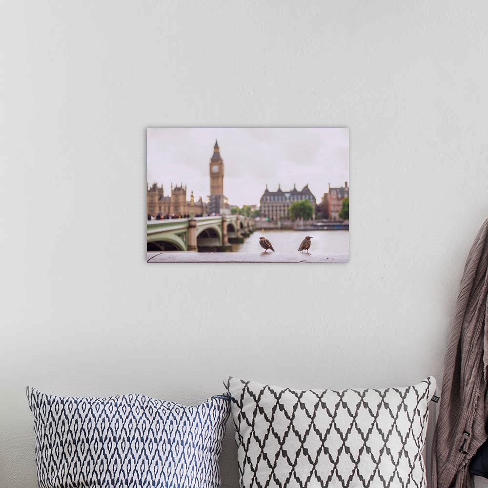 A bohemian room featuring Photograph of two birds perched on a ledge in front of the River Thames with Big Ben blurred in t...