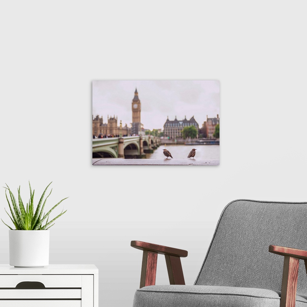 A modern room featuring Photograph of two birds perched on a ledge in front of the River Thames with Big Ben blurred in t...