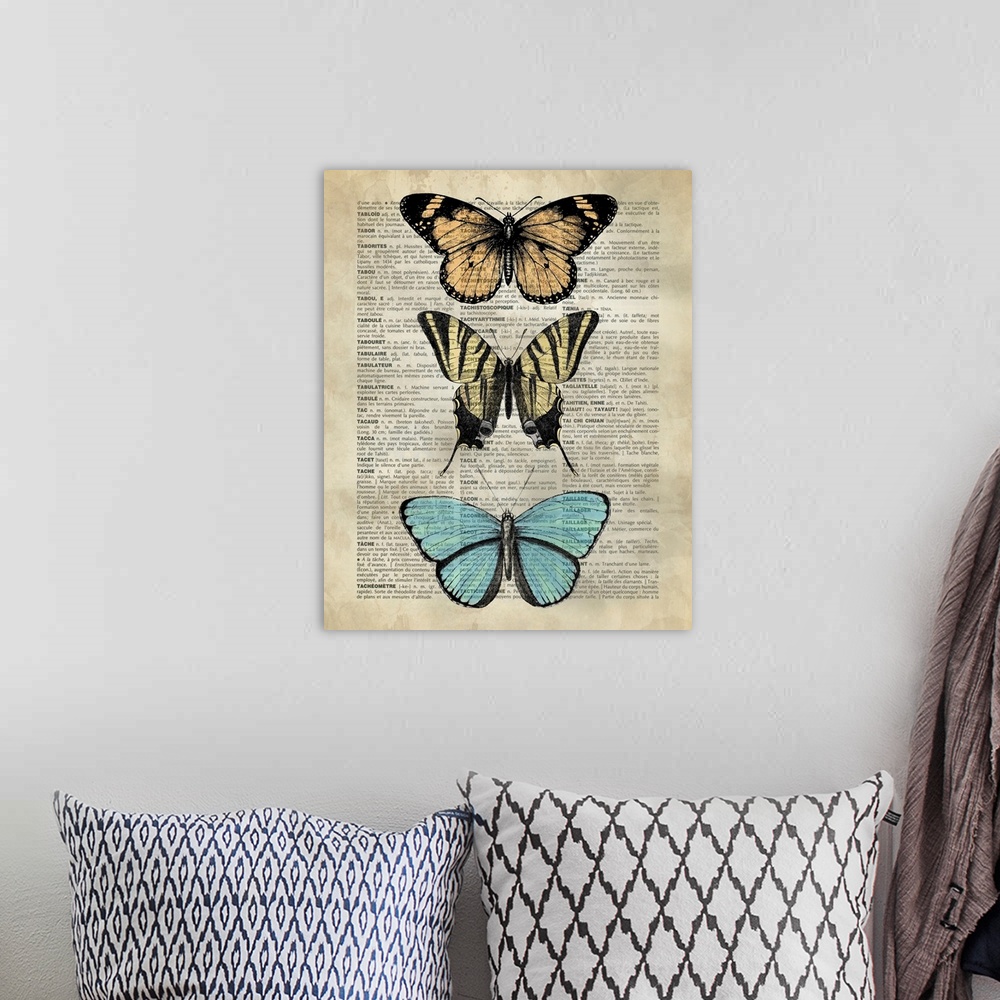 A bohemian room featuring Vintage Dictionary Art: Butterfly Specimen