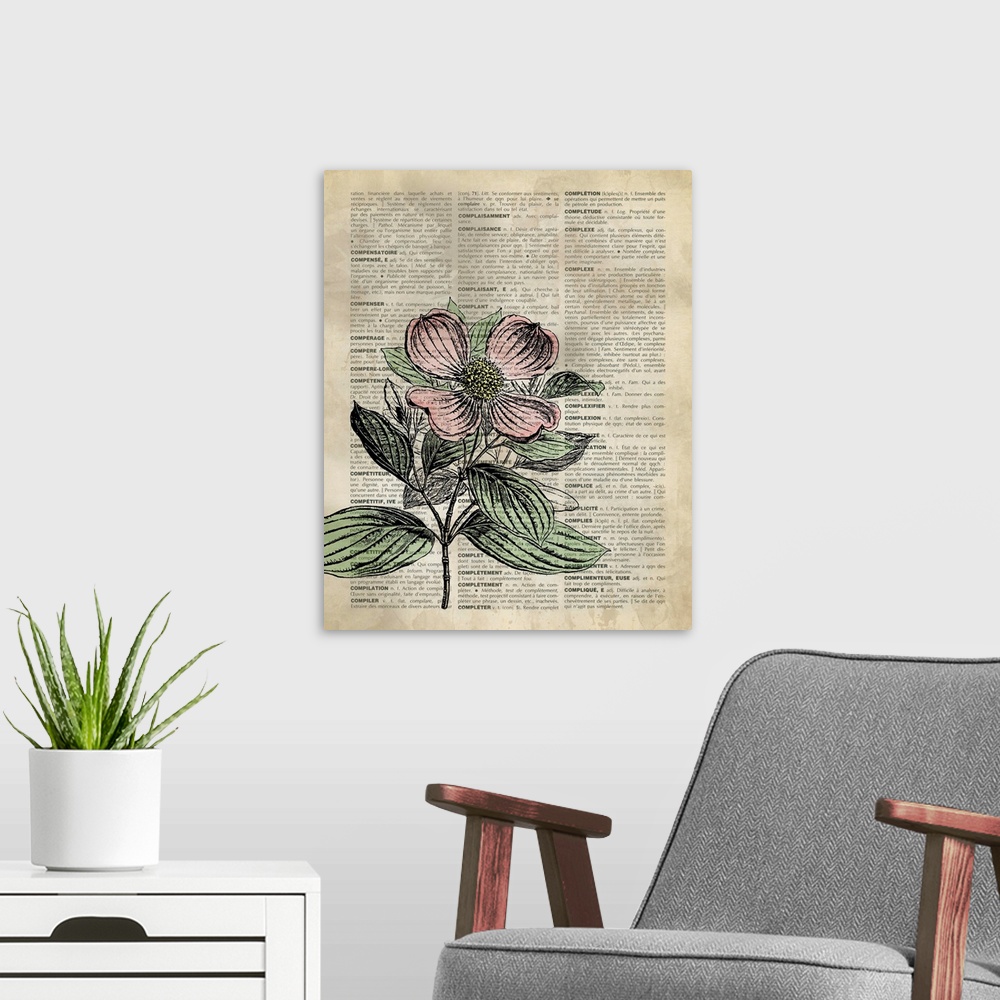 A modern room featuring Vintage Dictionary Art: Dogwood