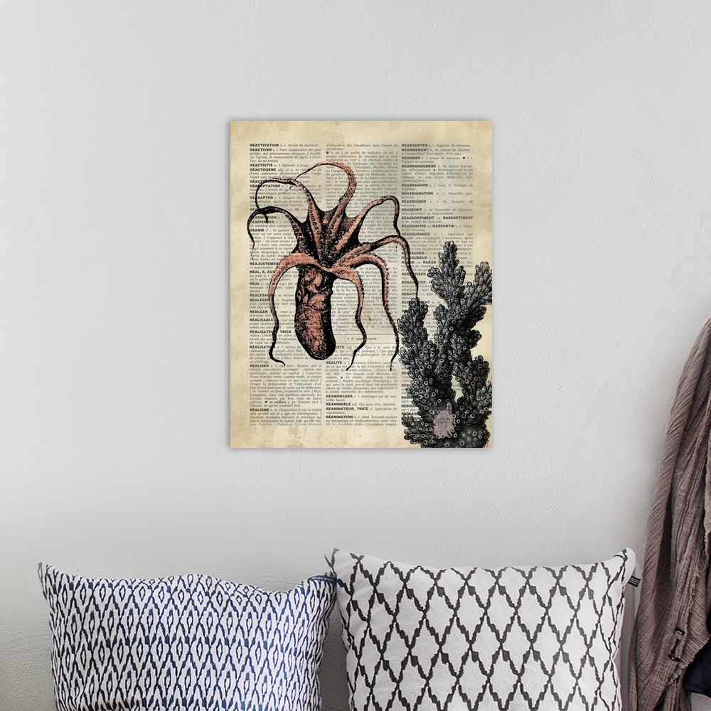 A bohemian room featuring Vintage Dictionary Art: Octopus