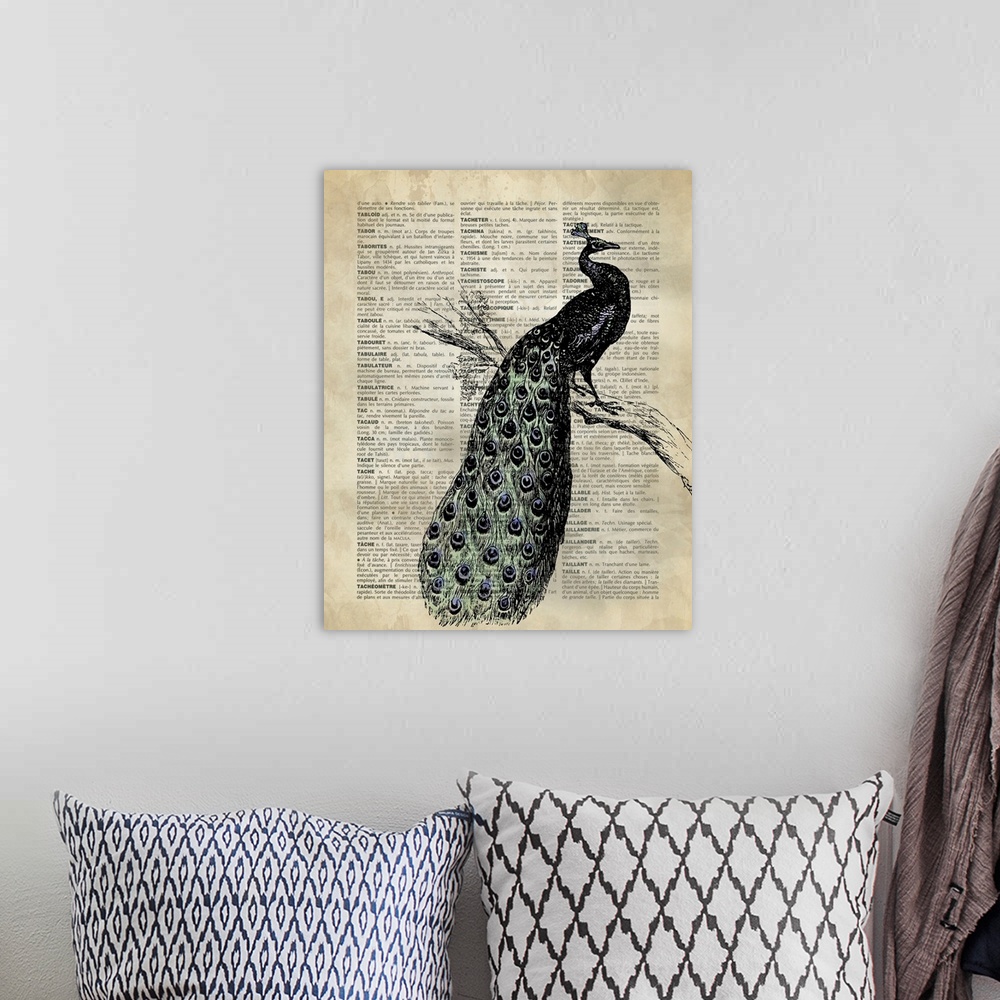 A bohemian room featuring Vintage Dictionary Art: Peacock