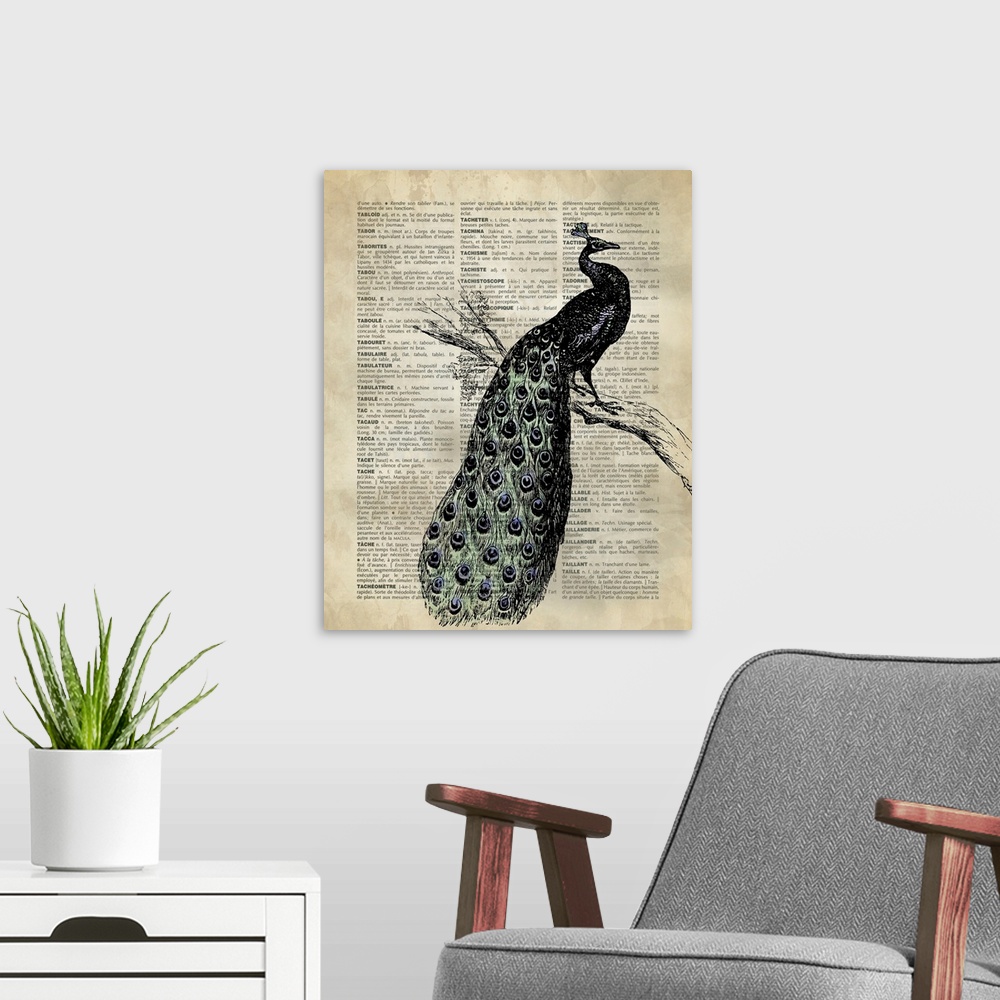A modern room featuring Vintage Dictionary Art: Peacock