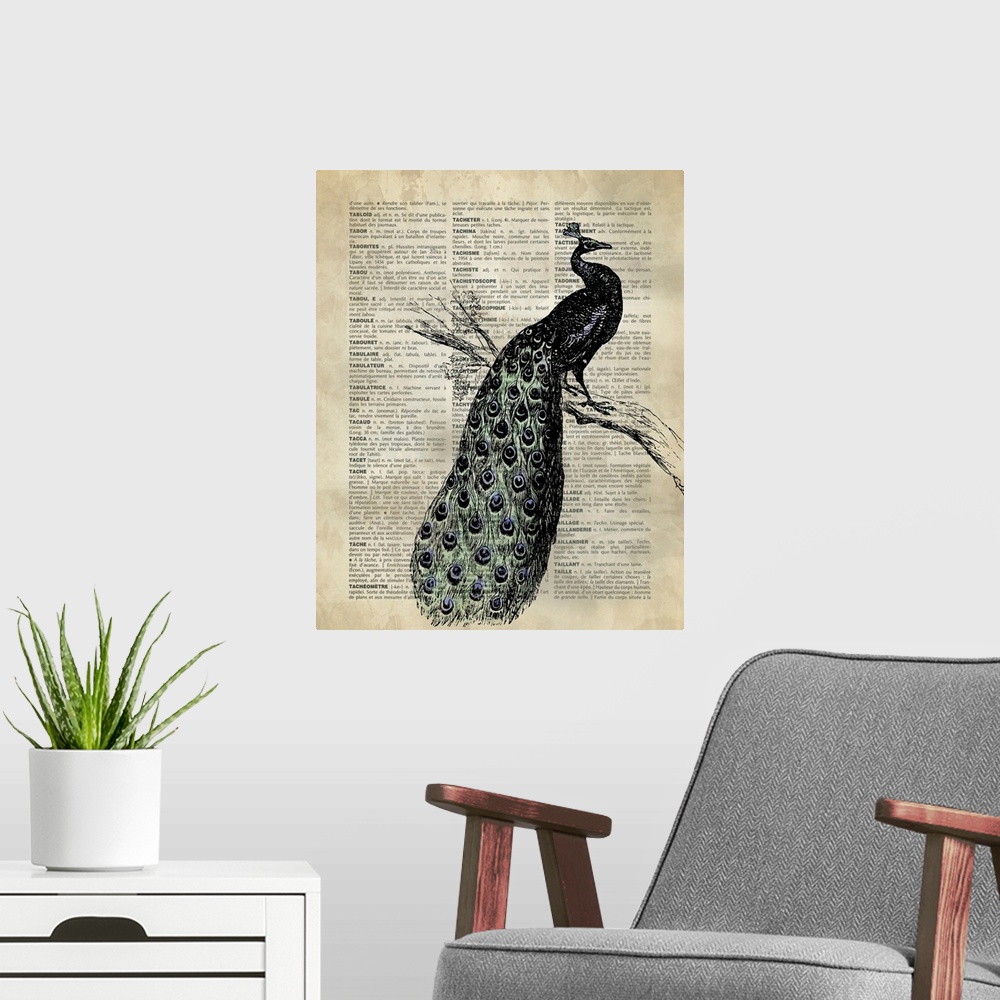 A modern room featuring Vintage Dictionary Art: Peacock