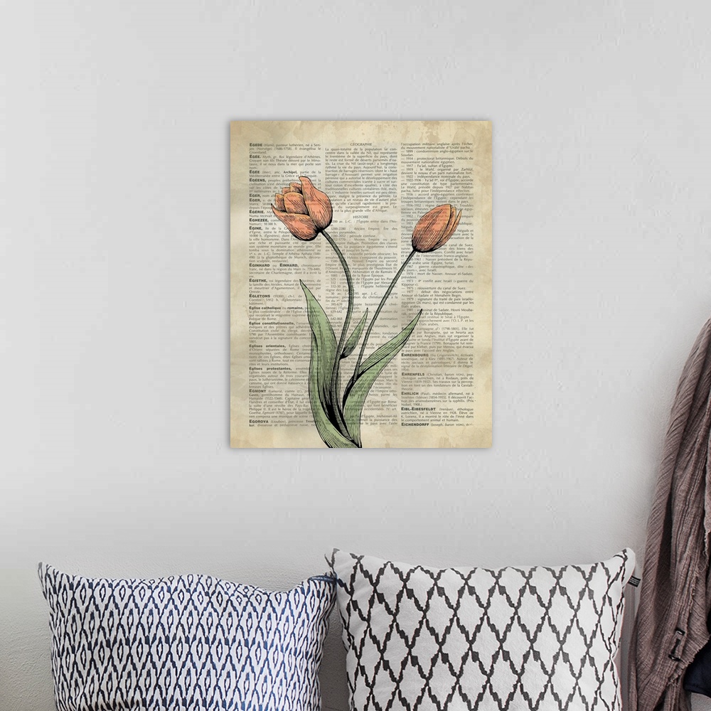 A bohemian room featuring Vintage Dictionary Art: Tulips