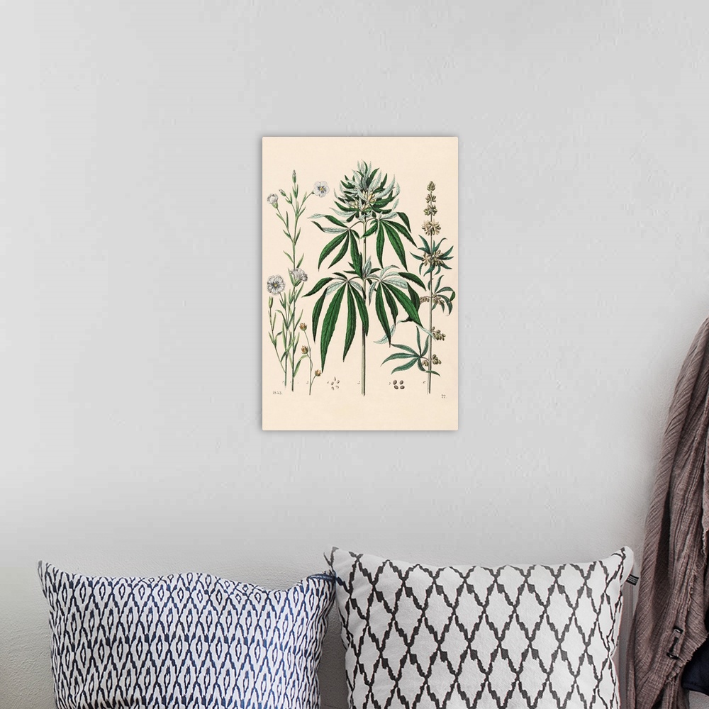 A bohemian room featuring Vintage Marijuana I