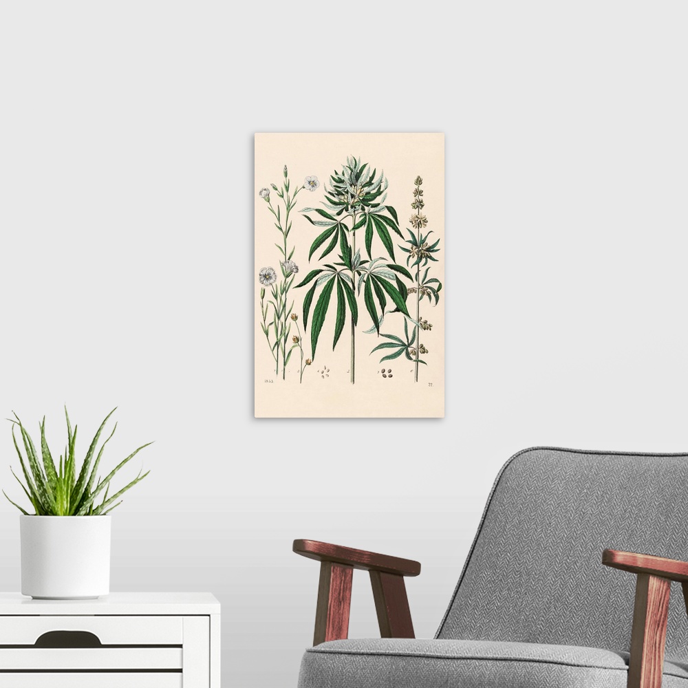 A modern room featuring Vintage Marijuana I