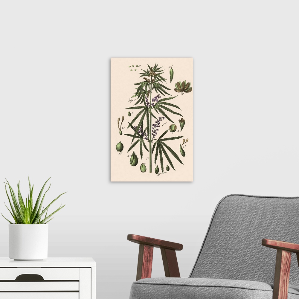 A modern room featuring Vintage Marijuana III