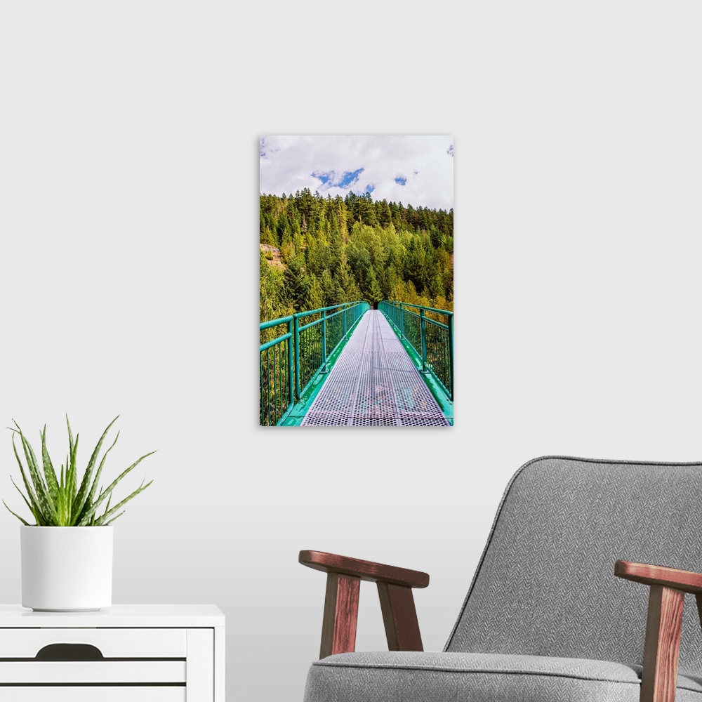 A modern room featuring Whistler Bungee Bridge in Whistler, British Columbia, Canada.
