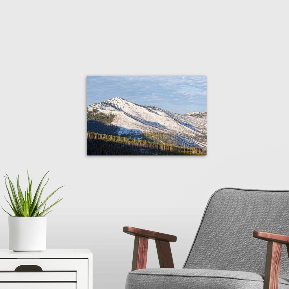 A modern room featuring Snow-covered mountains and lush forests are located at Yellowstone National Park in Wyoming.