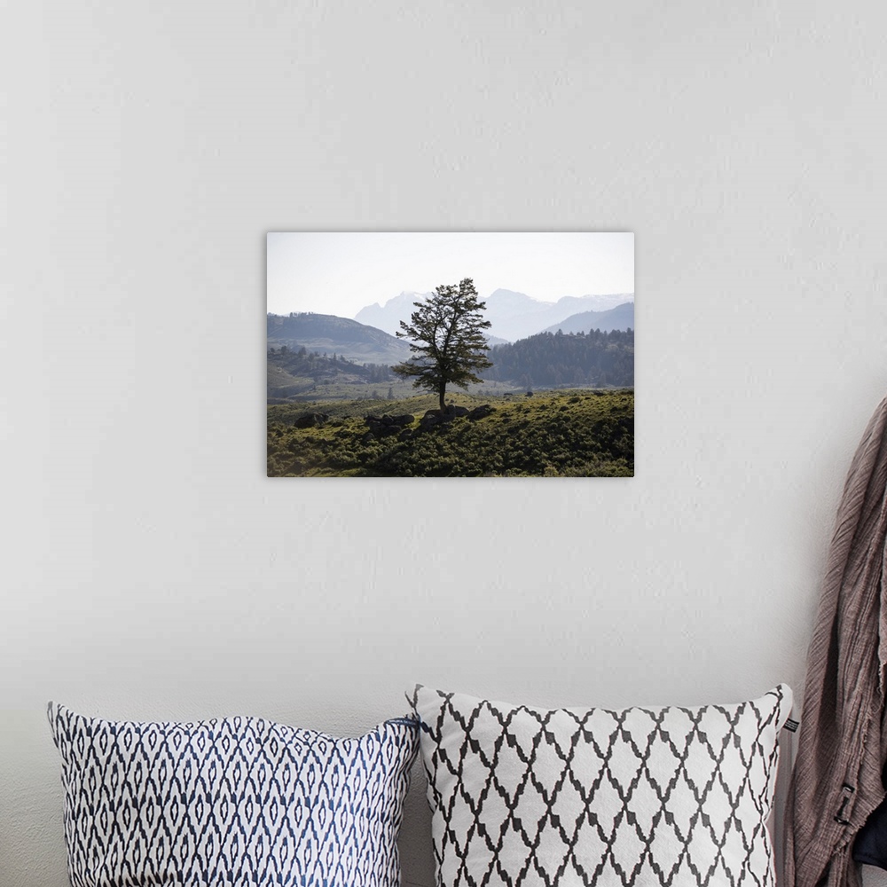 A bohemian room featuring A lone tree with a mountainous landscape in the background.