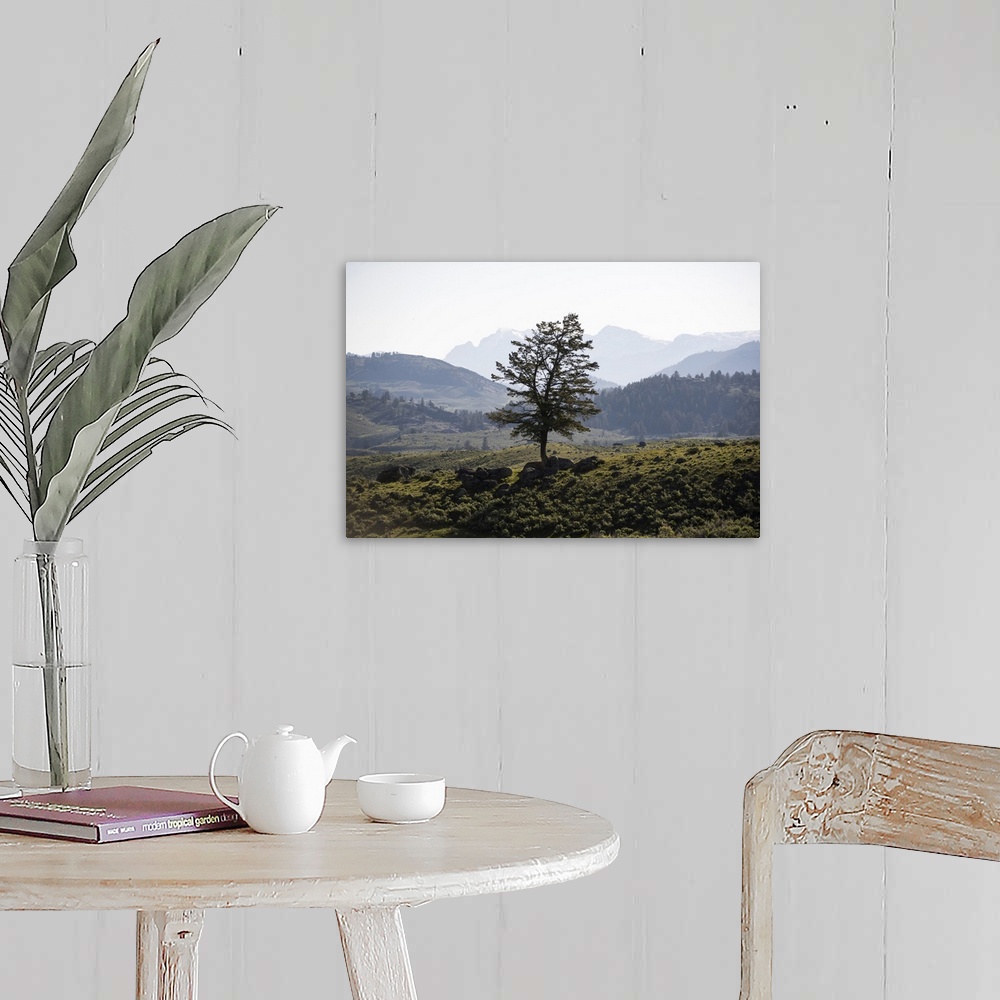 A farmhouse room featuring A lone tree with a mountainous landscape in the background.