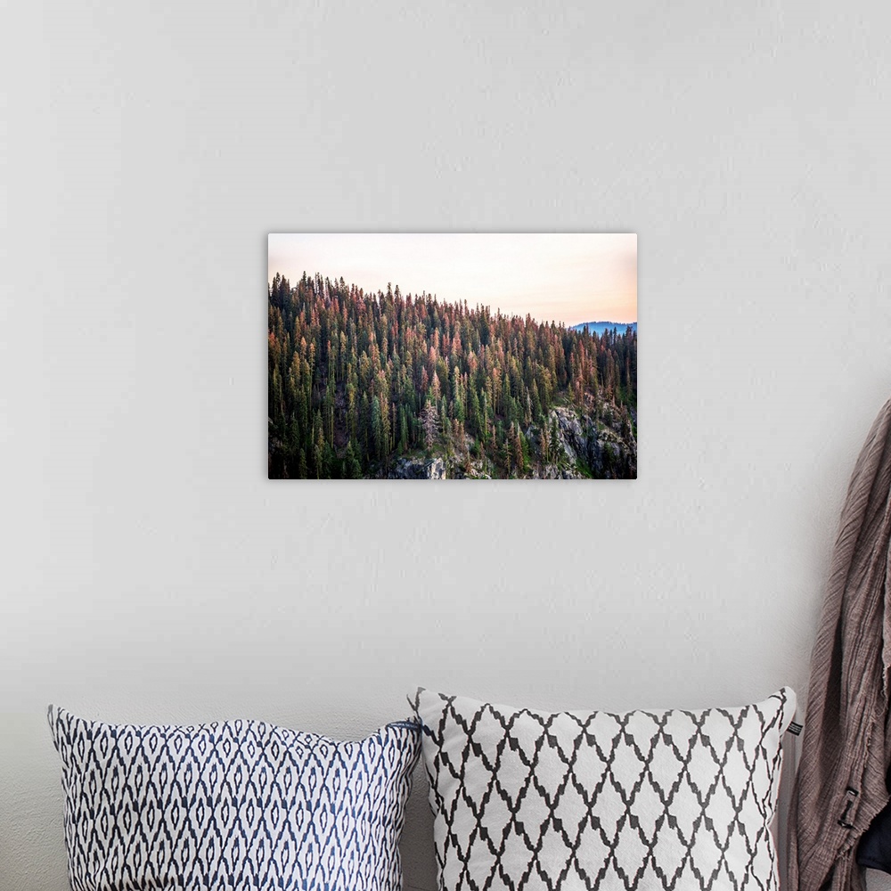 A bohemian room featuring View of Yosemite's wilderness in Yosemite National Park, California.