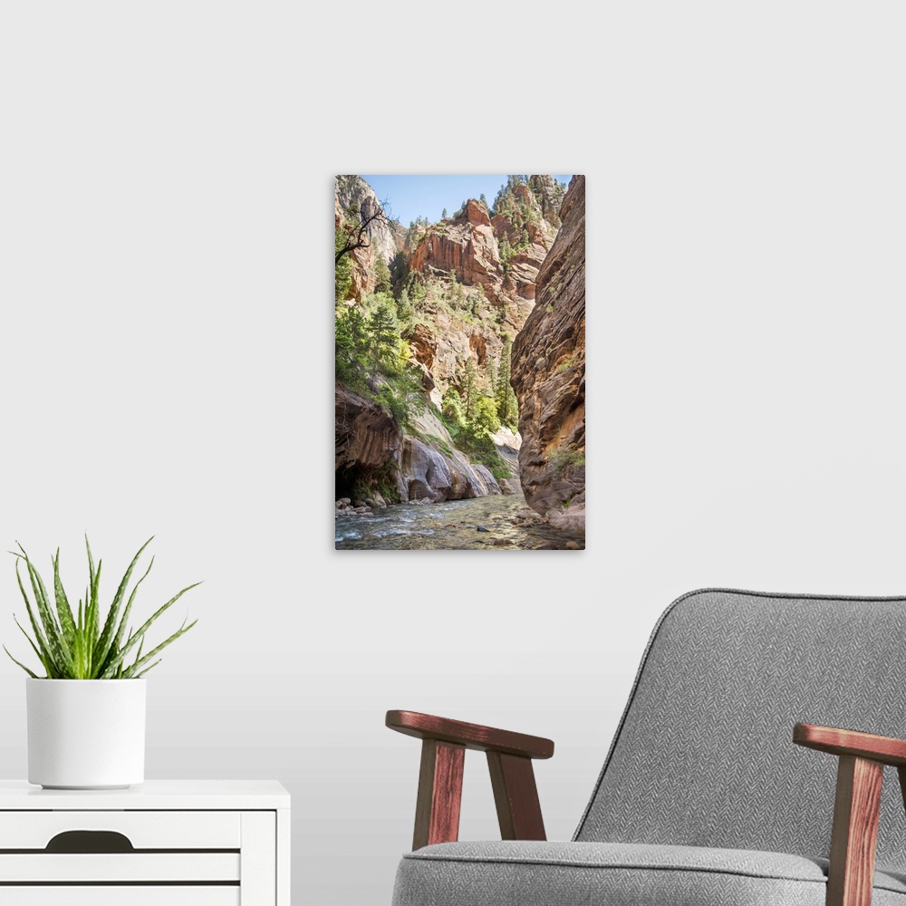 A modern room featuring Landscape photograph of the North Fork of the Virgin River at Zion National Park.