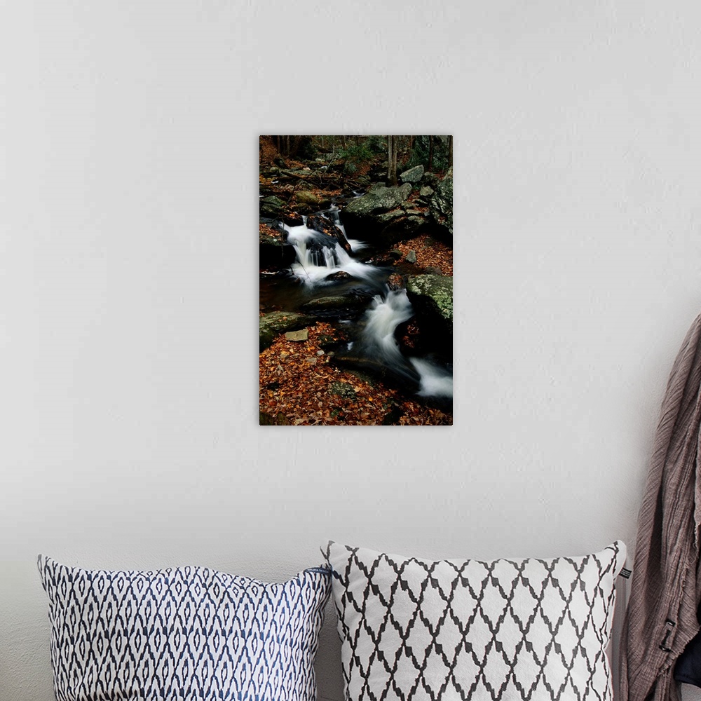 A bohemian room featuring A scenic view of a waterfall on Smith Creek.