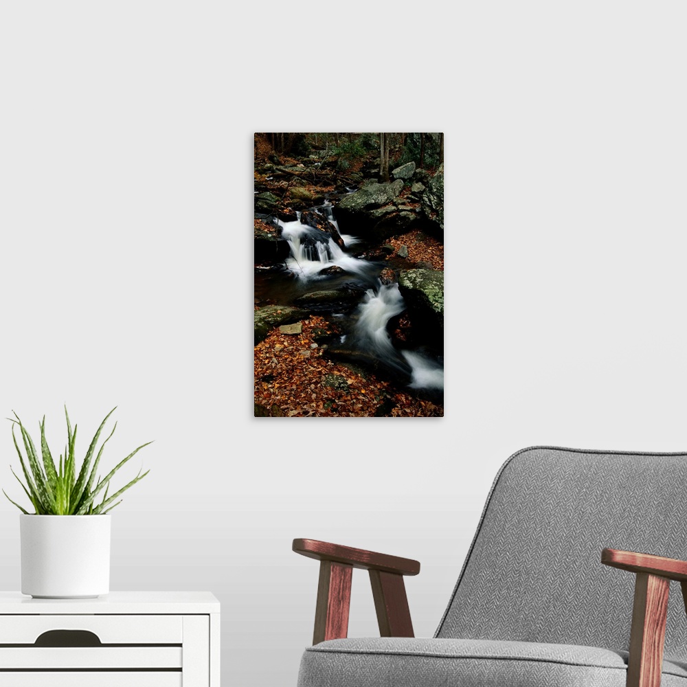 A modern room featuring A scenic view of a waterfall on Smith Creek.