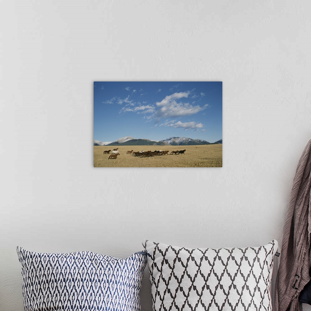 A bohemian room featuring Mares running over the prairie with the Rocky Mountains in background.
