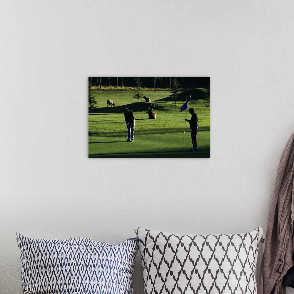 A bohemian room featuring Two people play golf while elk graze on the golf course.