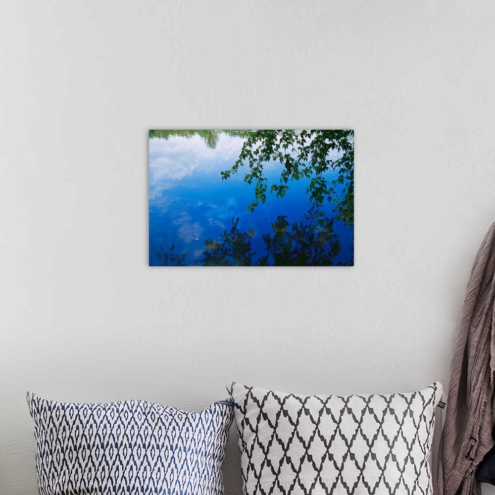 A bohemian room featuring Clouds, blue sky and green maple leaves reflected in the James River.