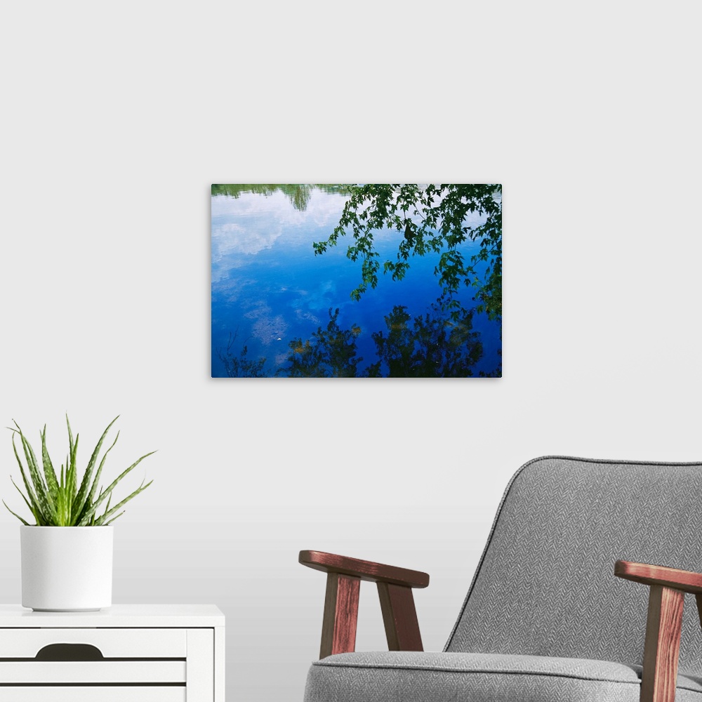 A modern room featuring Clouds, blue sky and green maple leaves reflected in the James River.