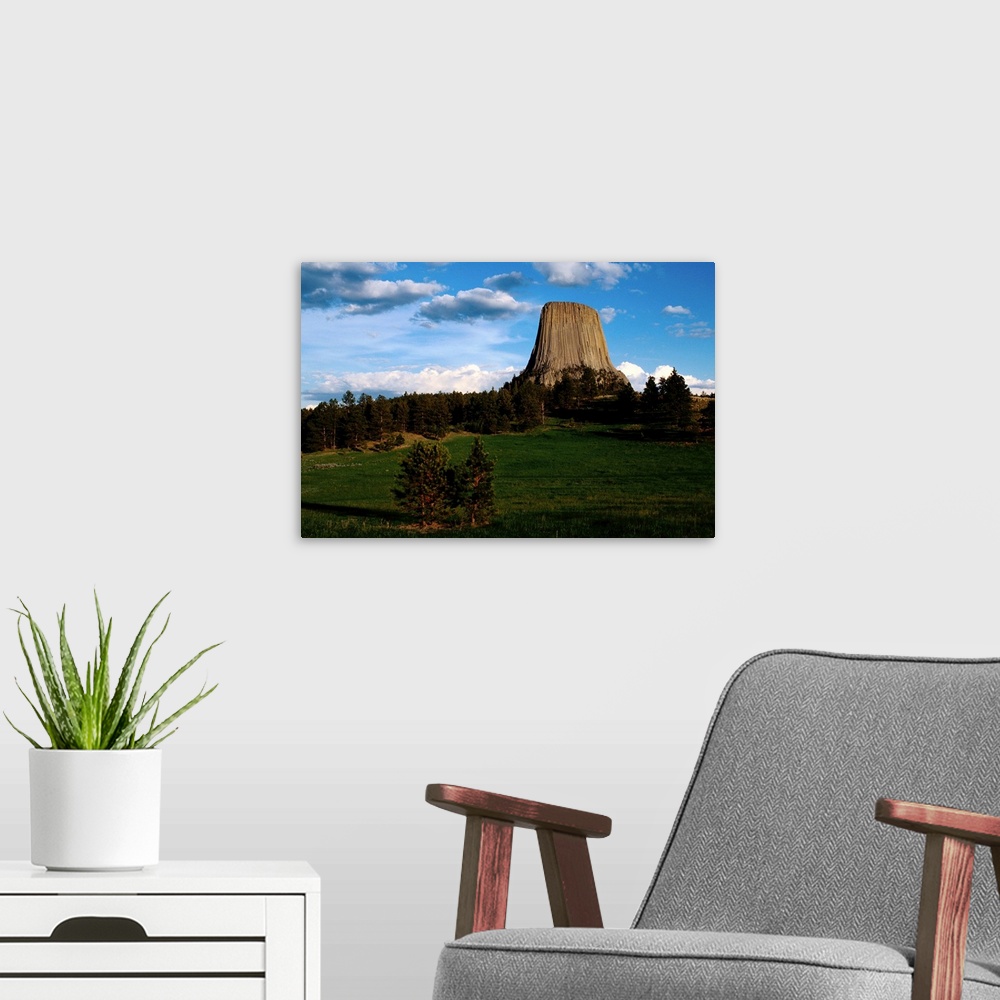 A modern room featuring Distant view of Devil's Tower.