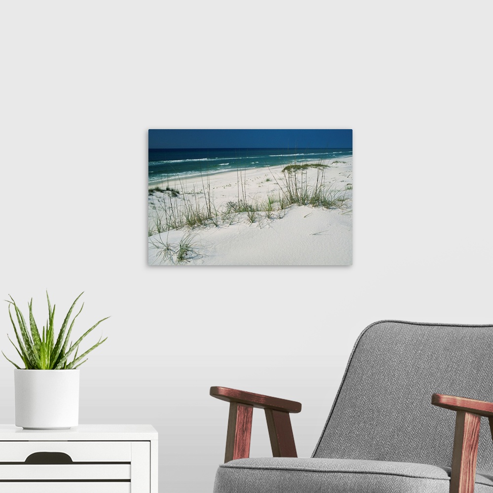 A modern room featuring Dune grasses hold white sand in place along a stretch of beach.