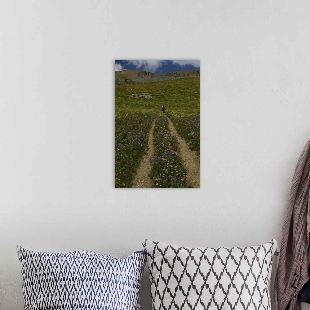 A bohemian room featuring Hiker on an alpine trail, Teton Crest Trail, Wyoming.