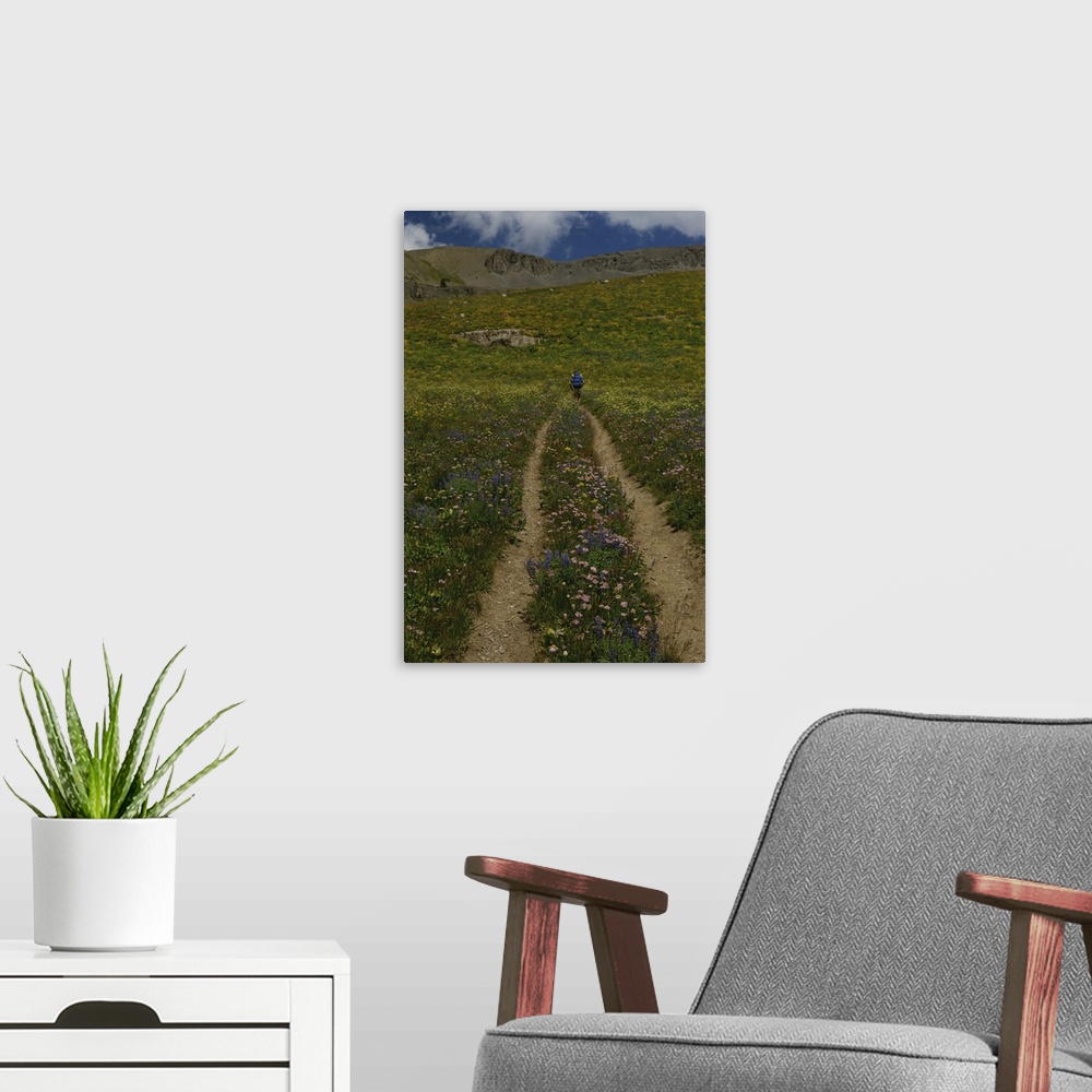 A modern room featuring Hiker on an alpine trail, Teton Crest Trail, Wyoming.