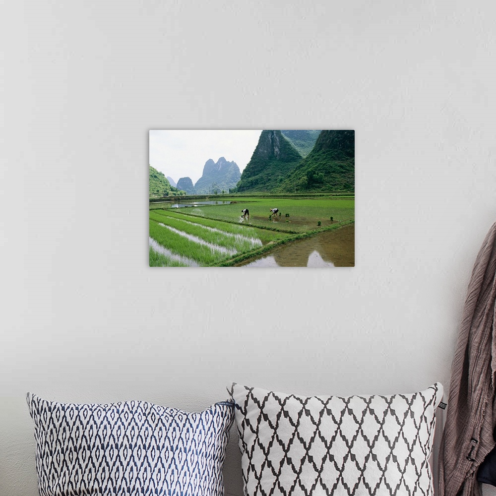 A bohemian room featuring Planting rice with limestone karst mountains beyond near Guilin.