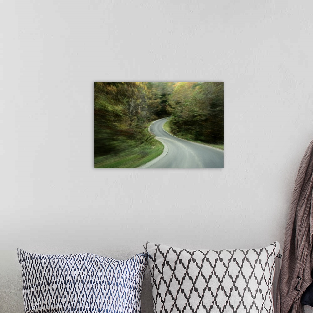 A bohemian room featuring Time-exposed view of Route 49 taken from a car on the winding road.