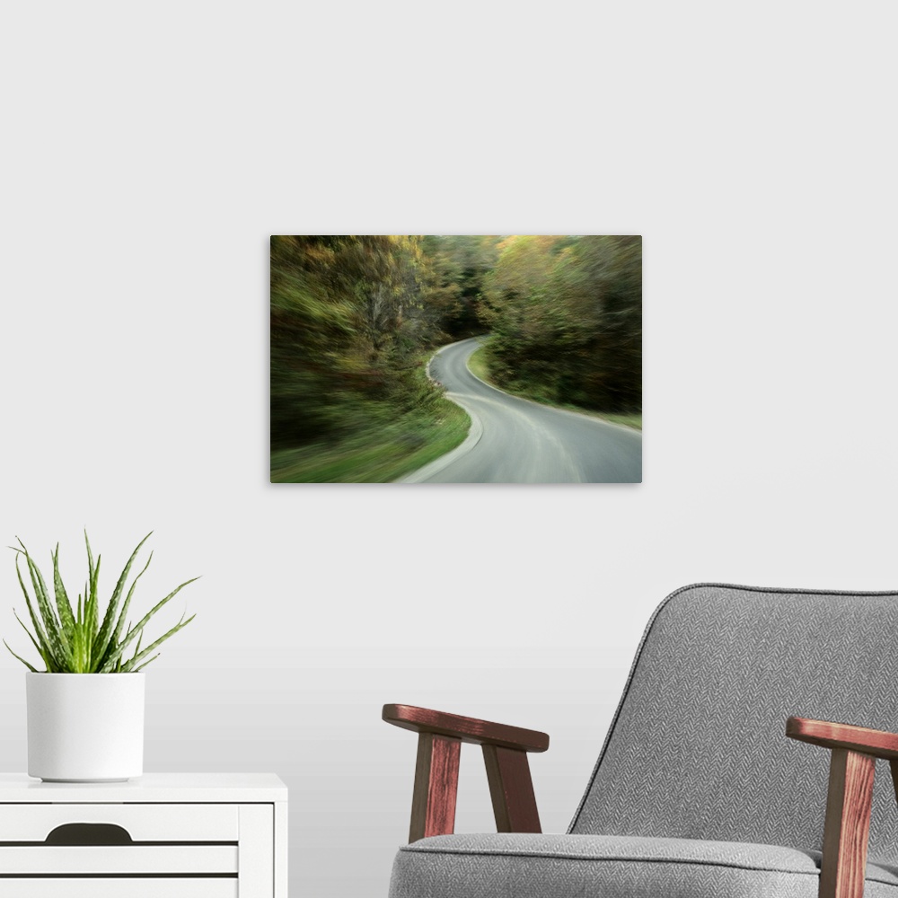 A modern room featuring Time-exposed view of Route 49 taken from a car on the winding road.
