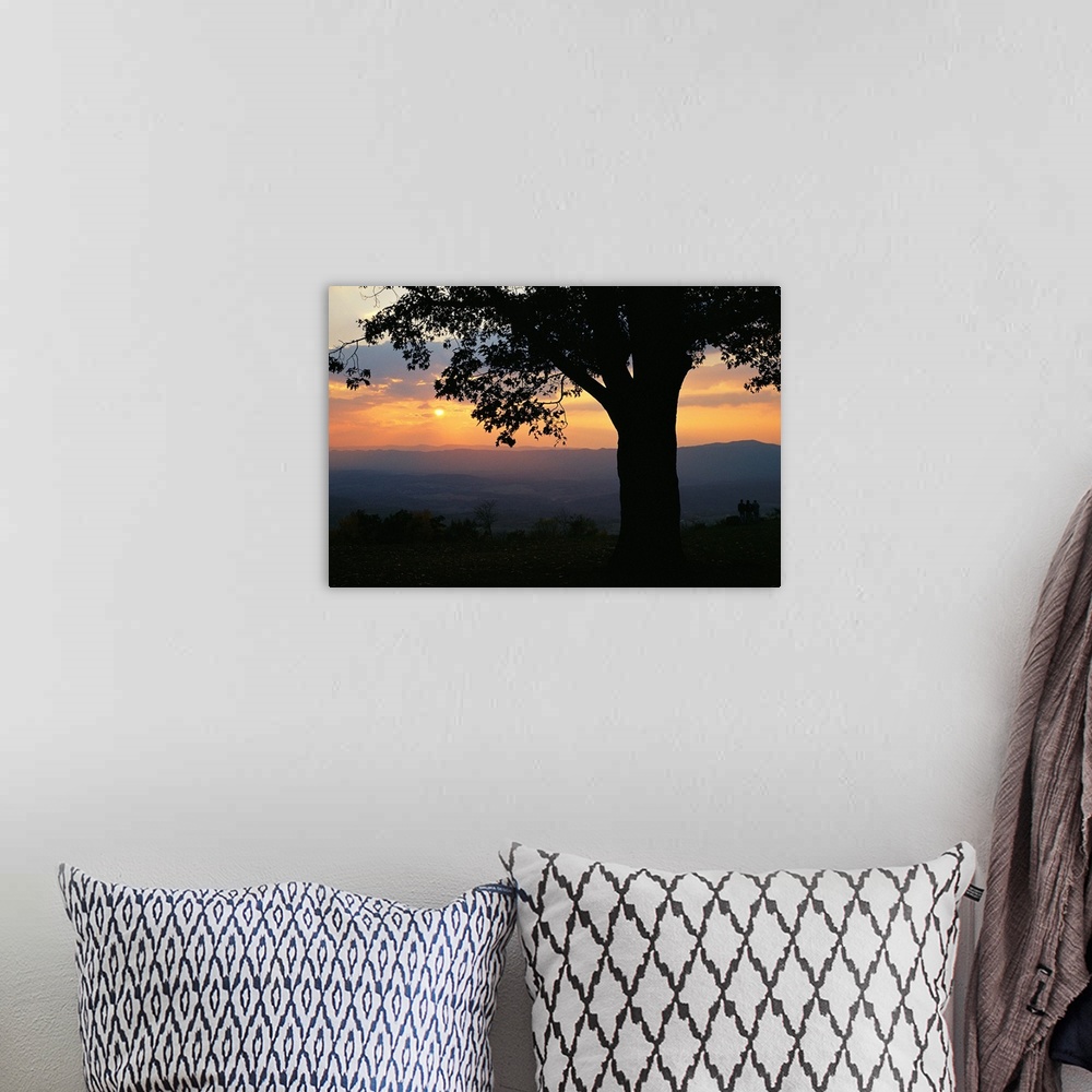 A bohemian room featuring Sunset and silhouetted oak tree over the Shenandoah valley.