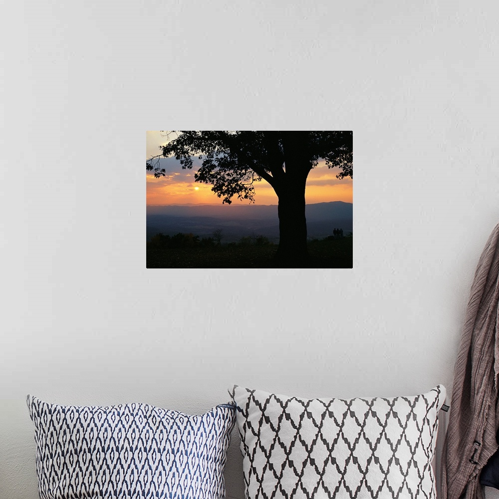 A bohemian room featuring Sunset and silhouetted oak tree over the Shenandoah valley.