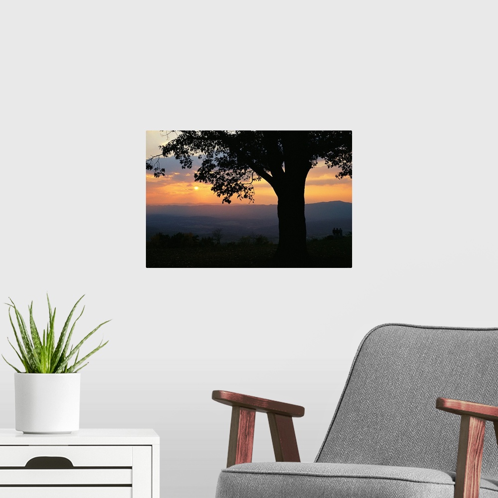 A modern room featuring Sunset and silhouetted oak tree over the Shenandoah valley.