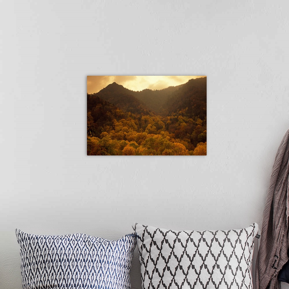 A bohemian room featuring Trees in autumn hues covering ancient mountain ridges.